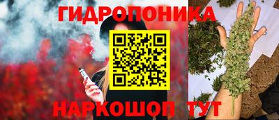 МДПВ Обь