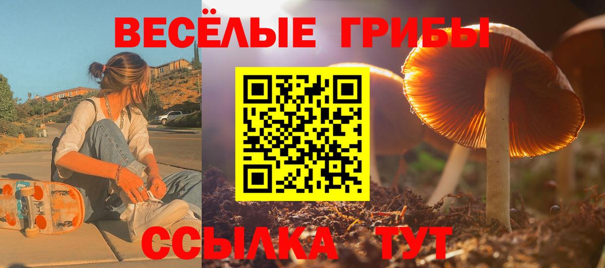 Псилоцибиновые грибы мицелий Топки