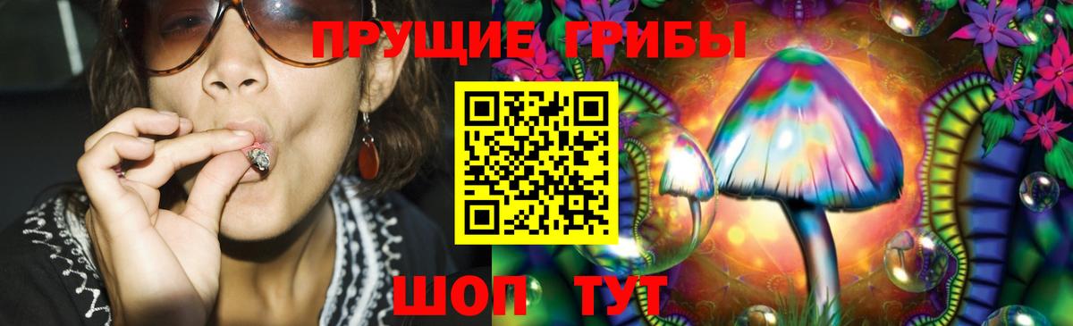 Топки  Галлюциногенные грибы ЛСД  Вход с VPN  Галлюциногенные грибы мицелий 